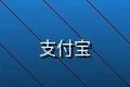 支持支付宝在线支付